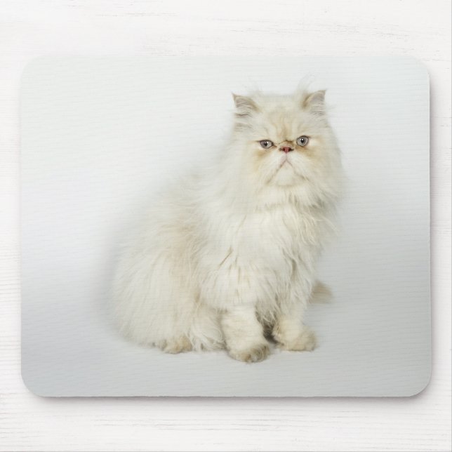 Tapis De Souris Portrait du chat perse (Devant)