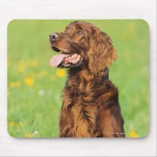 Tapis De Souris Portrait du chien 2