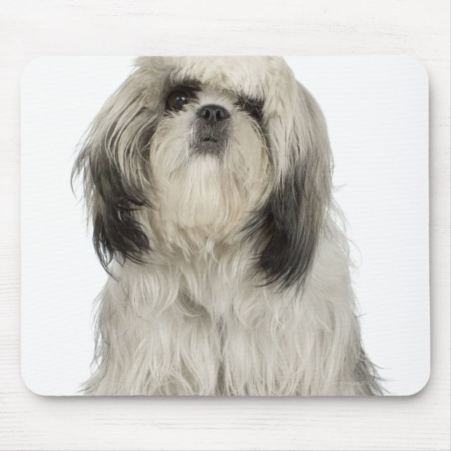 Tapis De Souris Portrait du chiot tibétain Terrier (Devant)