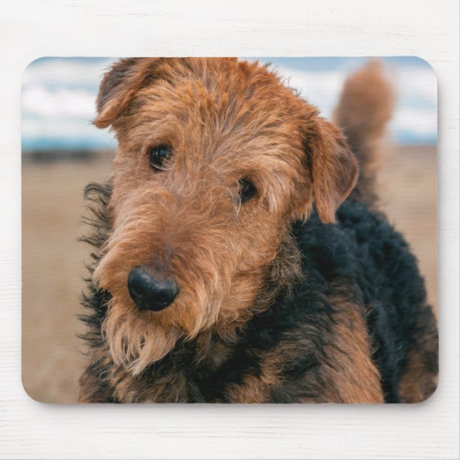Tapis De Souris Portrait d'un Airedale Terrier (Devant)