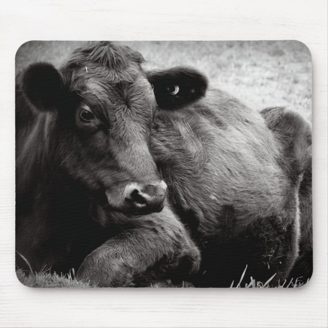 Tapis De Souris Portrait d'un Angus (Devant)