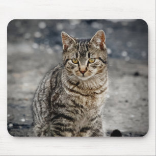 Tapis De Souris Portrait d'un chat