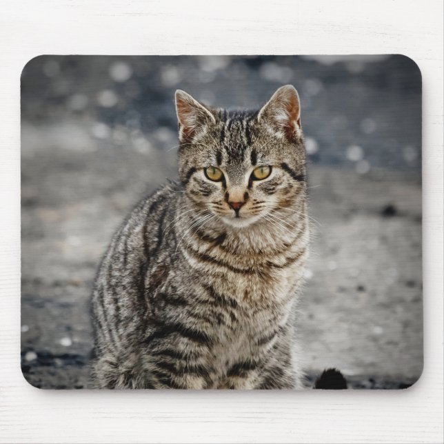 Tapis De Souris Portrait d'un chat (Devant)