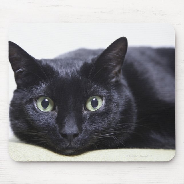 Tapis De Souris Portrait d'un chat (Devant)