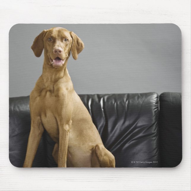 Tapis De Souris Portrait d'un chien (Devant)
