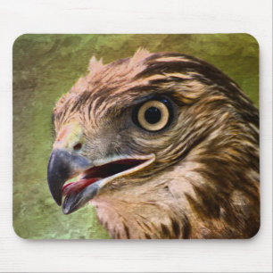 Tapis De Souris Portrait d'un faucon