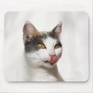 Tapis De Souris Portrait d'un lèchement blanc de chat