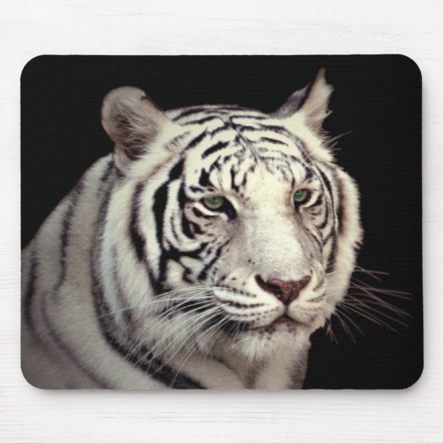 Tapis De Souris Portrait d'un tigre blanc du Bengale (Devant)