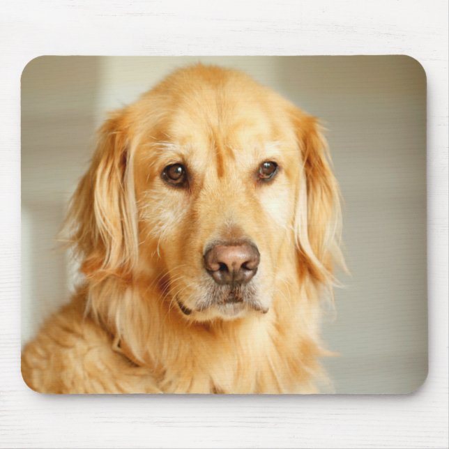 Tapis De Souris Portrait Golden Retriever (Devant)