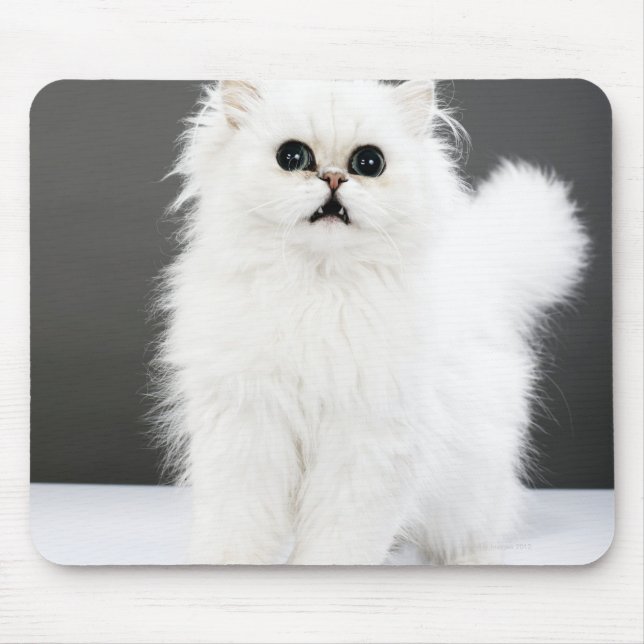 Tapis De Souris Portrait Kitten (Devant)