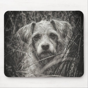 Tapis De Souris Portrait noir et blanc mignon et chiot photo