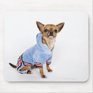 Tapis De Souris Portrait original d'un chiwawa de tasse de thé