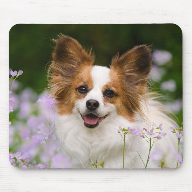 Tapis De Souris Portrait romantique du chien Papillon (Devant)