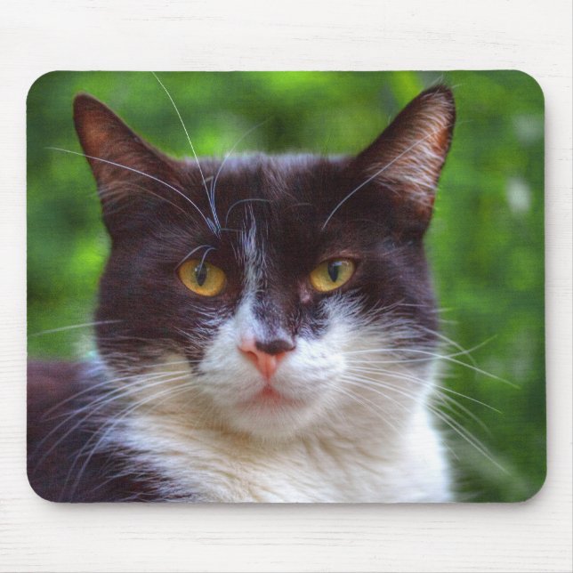 Tapis De Souris Portrait Tuxedo (Devant)