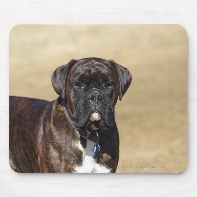 Tapis De Souris Position Brindle de chien de boxeur (Devant)