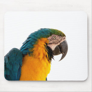 Tapis De Souris Post-it Notes perroquet
