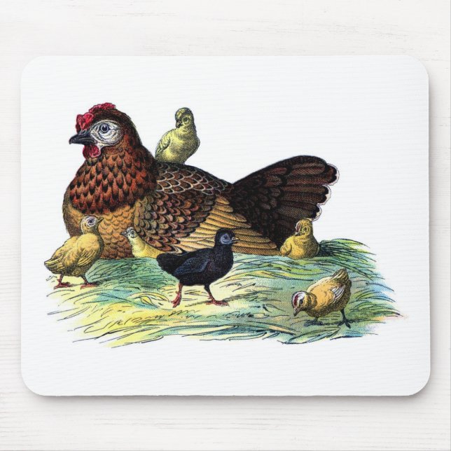 Tapis De Souris Poules Animaux Vintage (Devant)