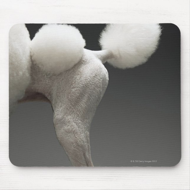Tapis De Souris Poules de Poodle, sur arrière - plan gris (Devant)
