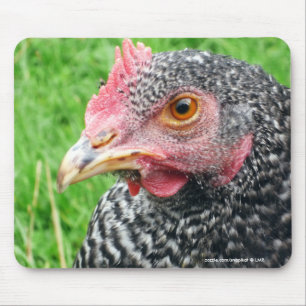 Tapis De Souris Poulet écossais de poule grise - volaille