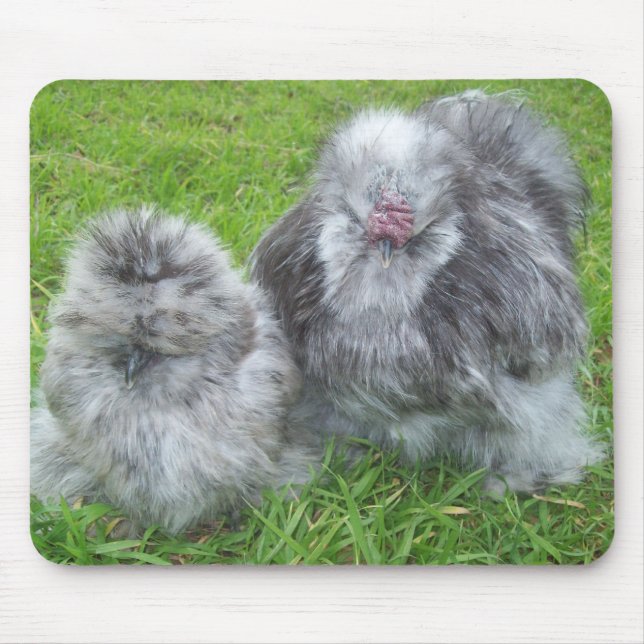 Tapis De Souris Poulet Mousepad de Silkie (Devant)