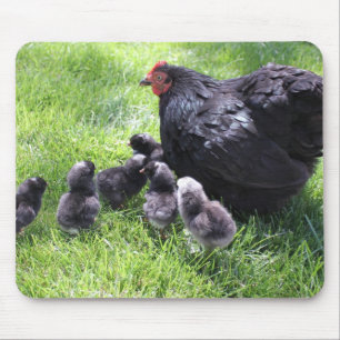 Tapis De Souris Poulet noir de Cochin avec des poussins Mousepad