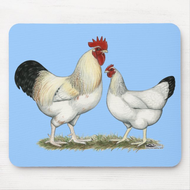 Tapis De Souris Poulets de la rivière Indian (Devant)
