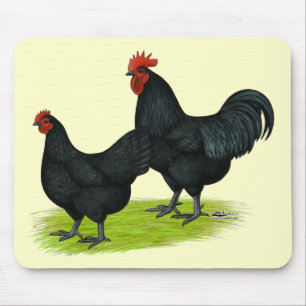Tapis De Souris Poulets noirs Australorp