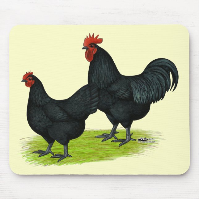 Tapis De Souris Poulets noirs Australorp (Devant)