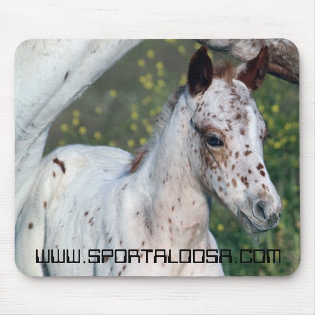 Tapis De Souris Pouliche de léopard (Devant)