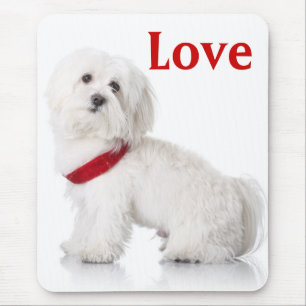 Tapis de souris pour chien chiot Bichon Frise