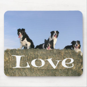 Tapis de souris pour chien chiot Border Collie noi