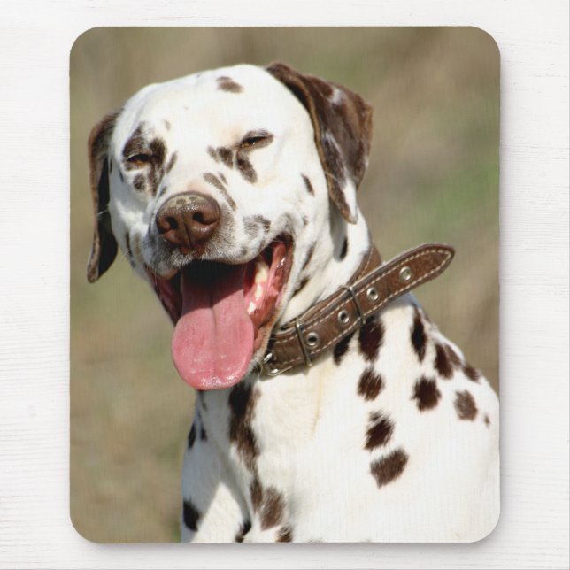 Tapis de souris pour chien dalmatien (Devant)