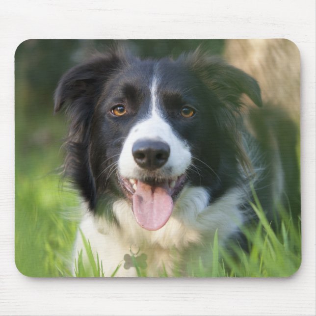 Tapis de souris pour chiot Border Collie (Devant)