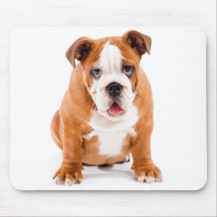 Tapis de souris pour chiot Bouledogue Anglais
