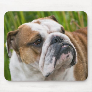 Tapis de souris pour chiot Bouledogue Anglais