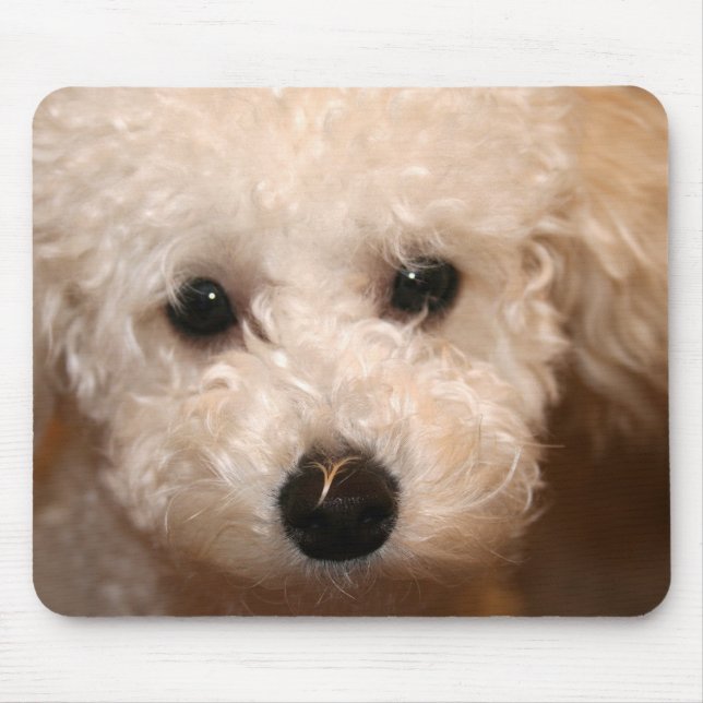 Tapis de souris pour chiot Caniche jouet (Devant)