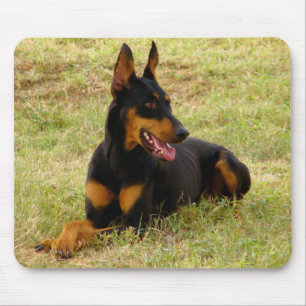 Tapis de souris pour chiot Doberman Pinscher