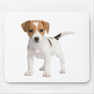 Tapis de souris pour chiot Jack Russell Terrier Lo