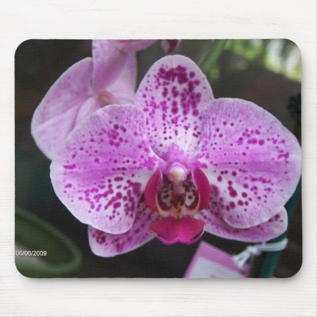 Tapis de souris pourpre d'orchidée (Devant)