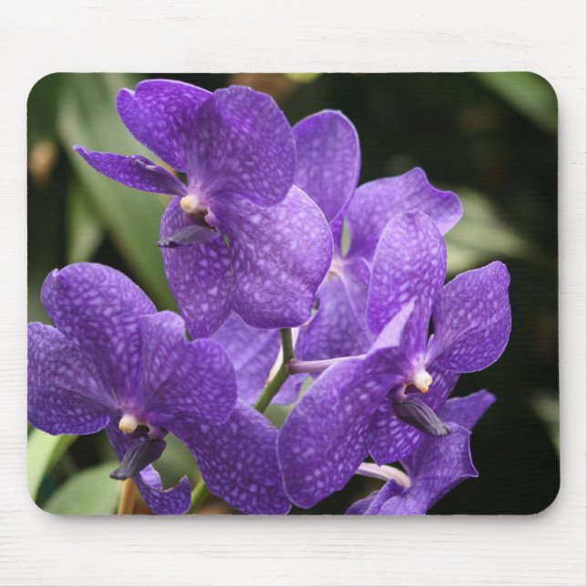 Tapis de souris pourpre d'orchidée (Devant)