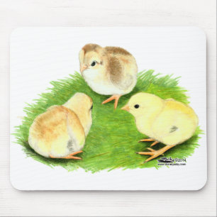 Tapis De Souris Poussins Aseel Blé