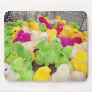 Tapis De Souris Poussins de bébé dans un stylo à un marché col