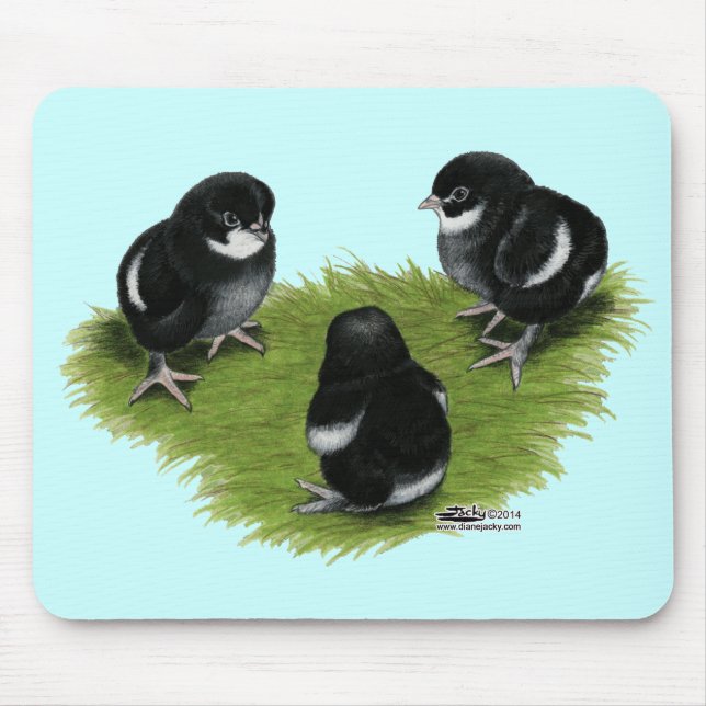 Tapis De Souris Poussins Marans Noir Cuivre (Devant)