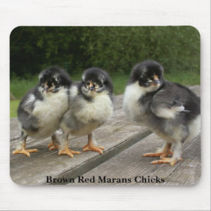 Tapis De Souris Poussins rouges Brown de Marans
