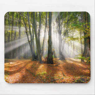 Tapis De Souris Poutres de soleil dans une forêt de hêtres brumeux