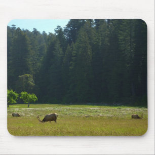 Tapis De Souris Prairie aux élans du parc national de Redwood