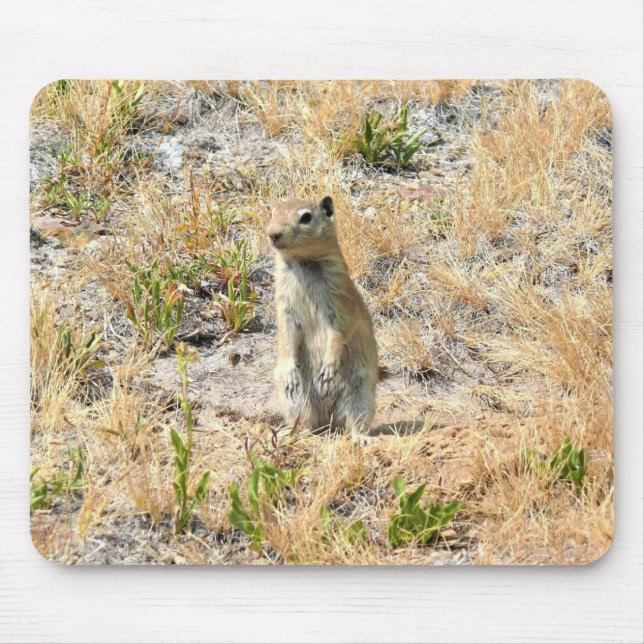 Tapis De Souris Prairie Dog in Yosemite (Devant)