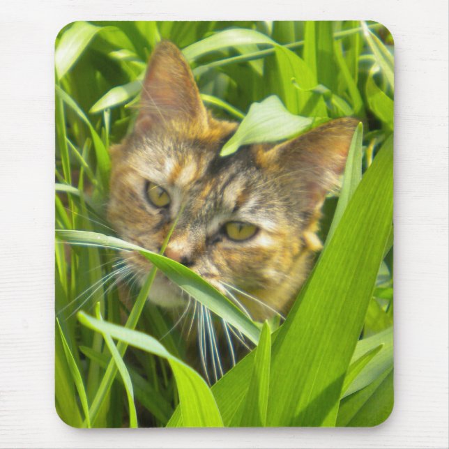 Tapis De Souris Précieuse carte de souris Jungle Kitty (Devant)