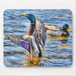 Tapis De Souris Preening Mallard Duck Birdlover Wildlife