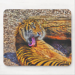 Tapis De Souris Preening Sumatran Tiger Big Cat Wildlife Art